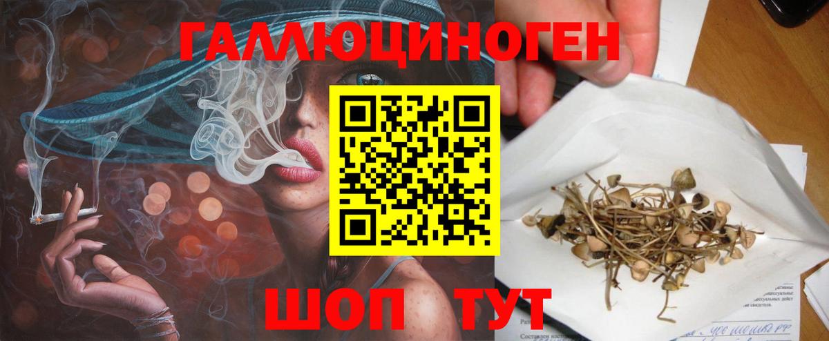 Псилоцибиновые грибы GOLDEN TEACHER Ленинск-Кузнецкий