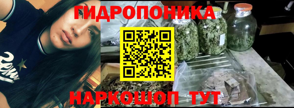 Марихуана конопля Ленинск-Кузнецкий